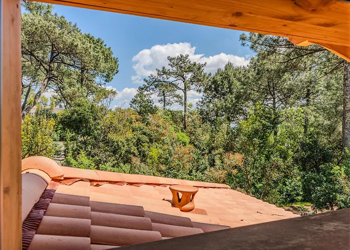 Les Américains * Lège-Cap-Ferret